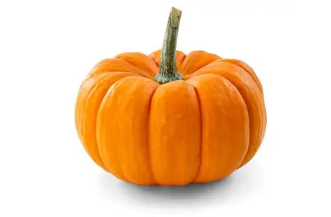 October Sales